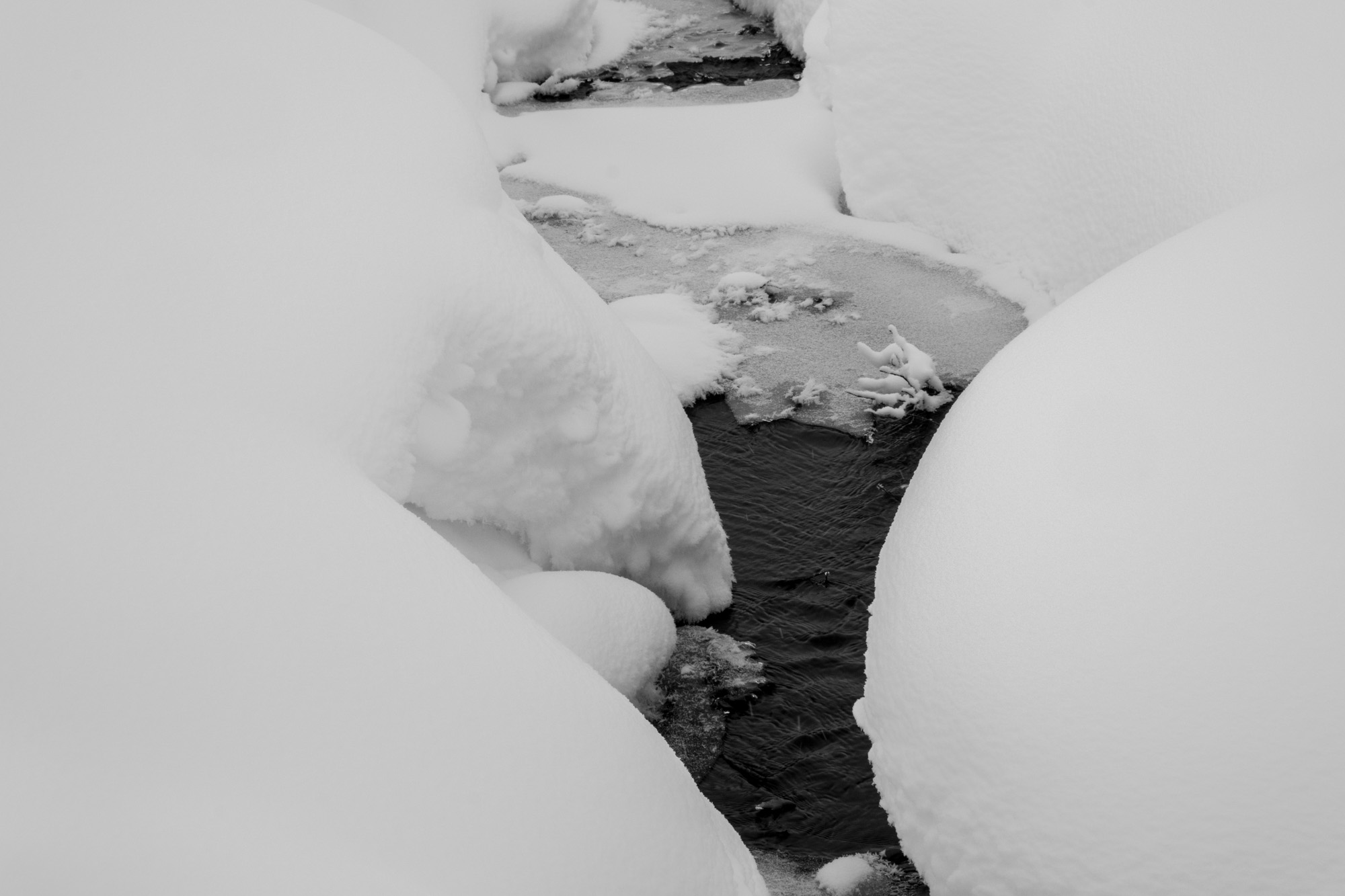 2024 01 04  xt 5   7615